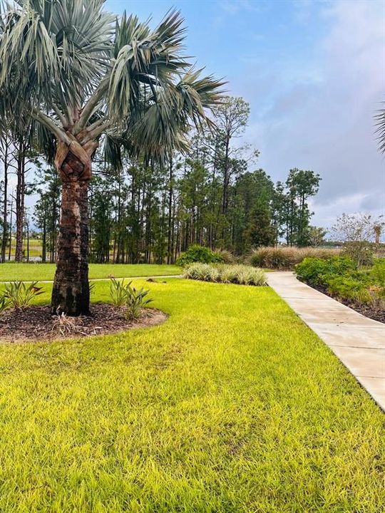 En Renta: $3,000 (3 camas, 3 baños, 1785 Pies cuadrados)