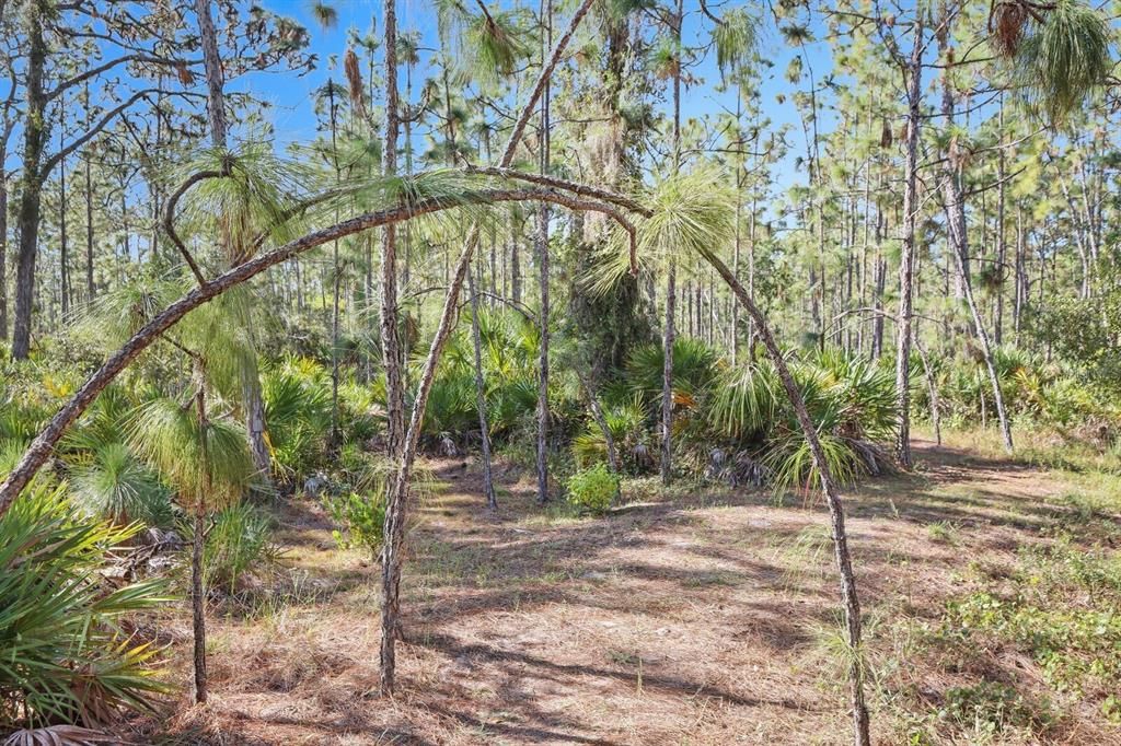 Под контрактом: $1,499,000 (9.42 acres)