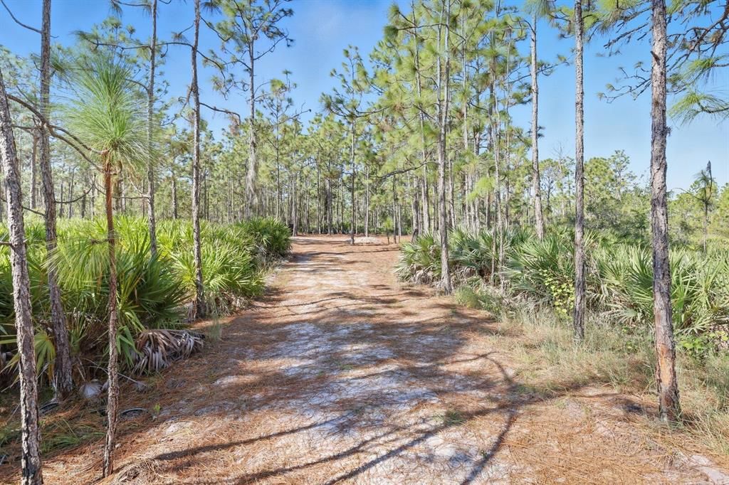 Под контрактом: $1,499,000 (9.42 acres)