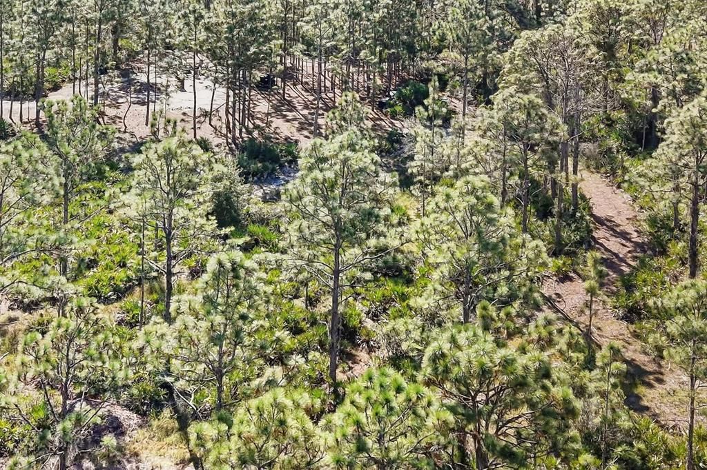 Под контрактом: $1,499,000 (9.42 acres)