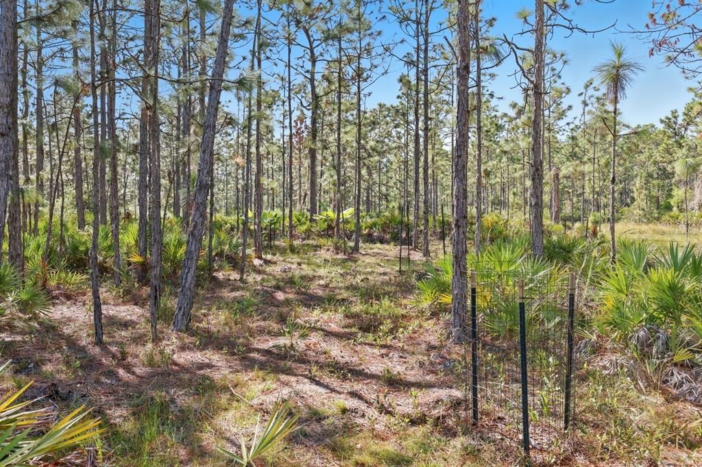 Под контрактом: $1,499,000 (9.42 acres)