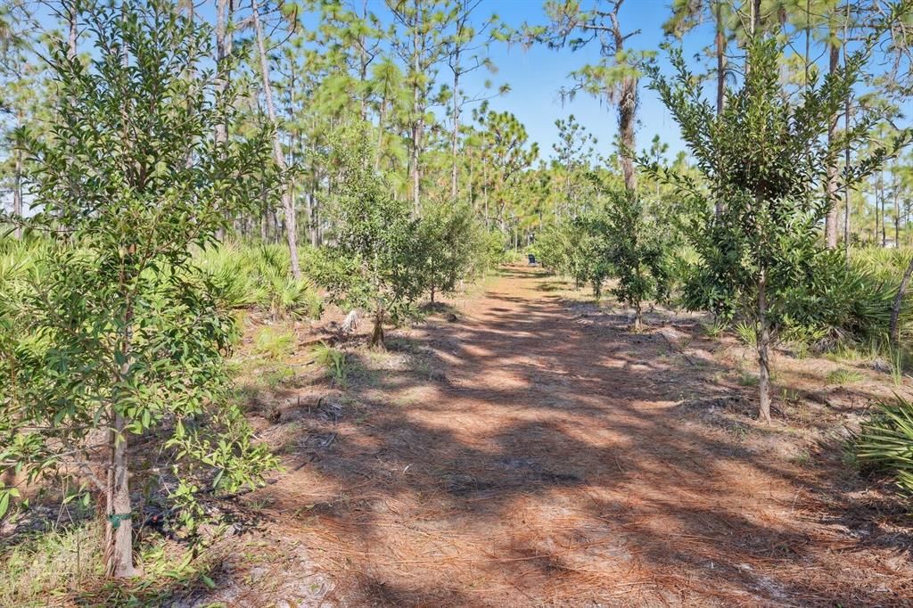 Под контрактом: $1,499,000 (9.42 acres)