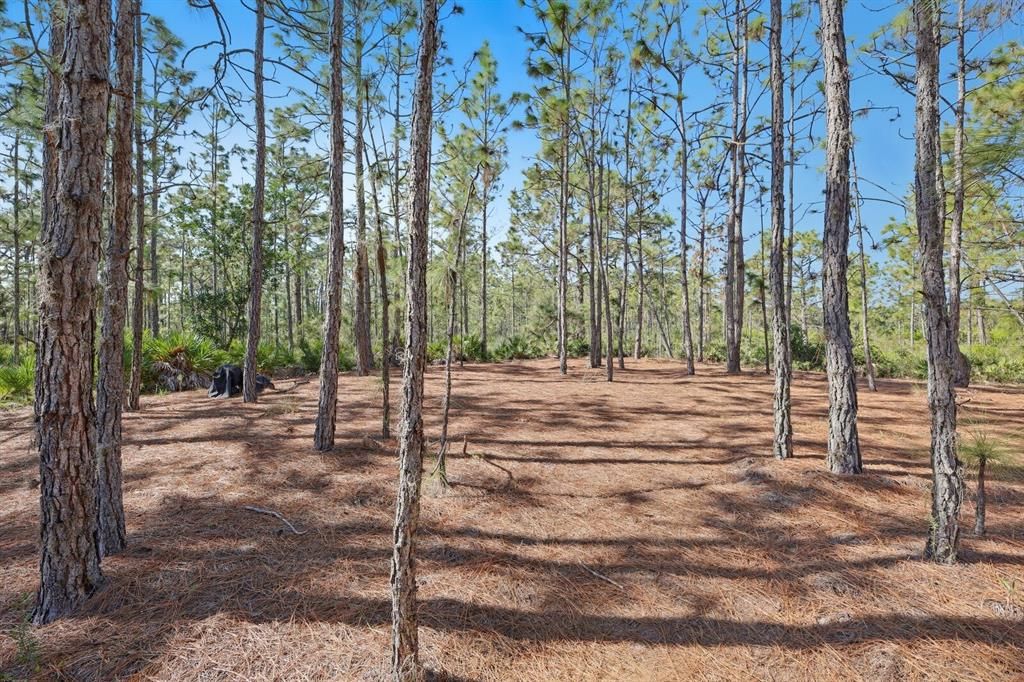 Под контрактом: $1,499,000 (9.42 acres)