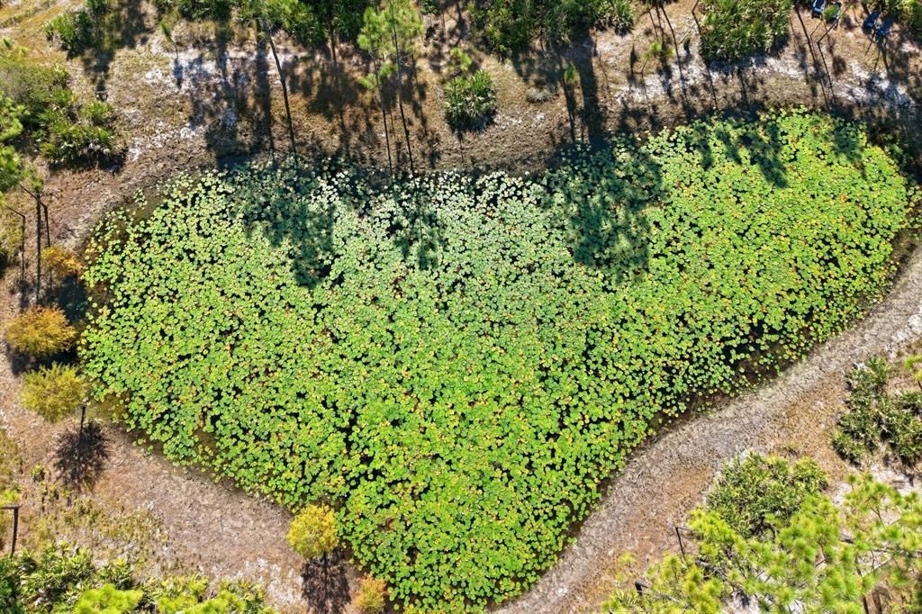 Под контрактом: $1,499,000 (9.42 acres)