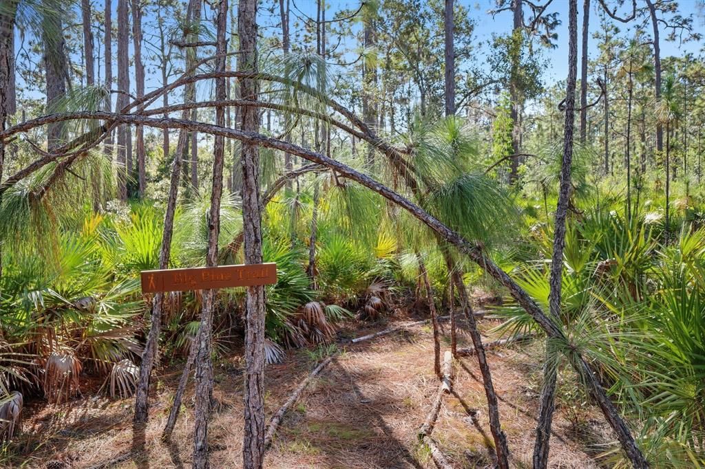 Под контрактом: $1,499,000 (9.42 acres)