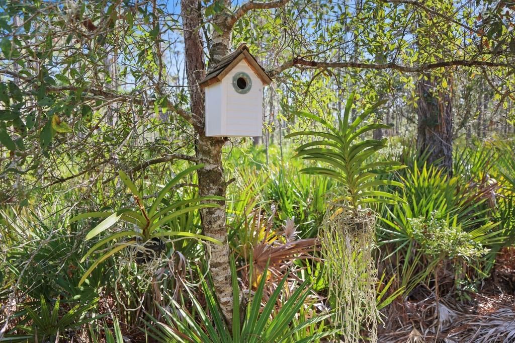 Под контрактом: $1,499,000 (9.42 acres)