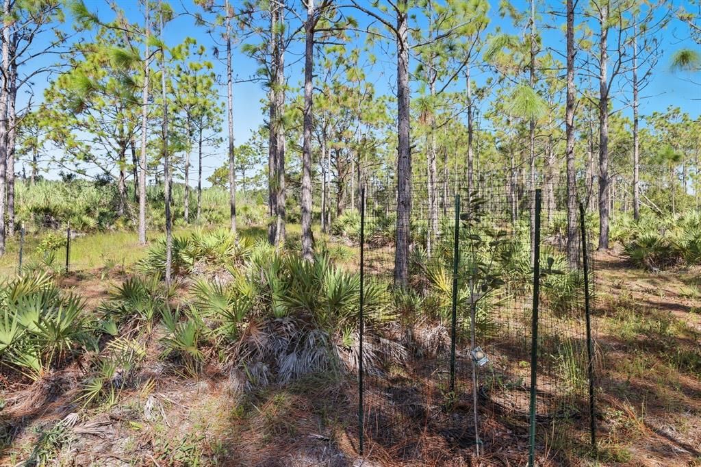 Под контрактом: $1,499,000 (9.42 acres)