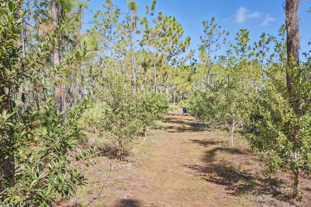 Под контрактом: $1,499,000 (9.42 acres)