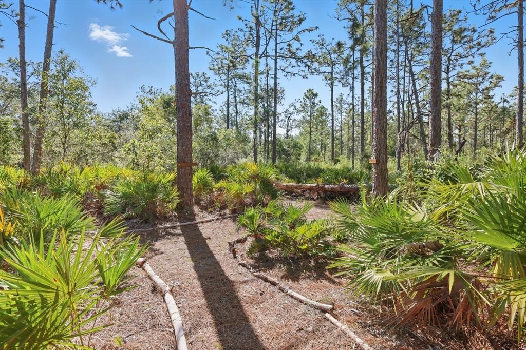 Под контрактом: $1,499,000 (9.42 acres)