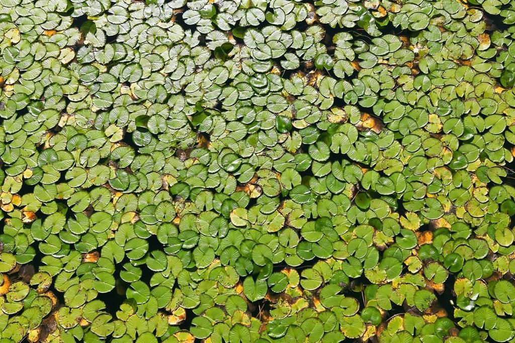 Под контрактом: $1,499,000 (9.42 acres)