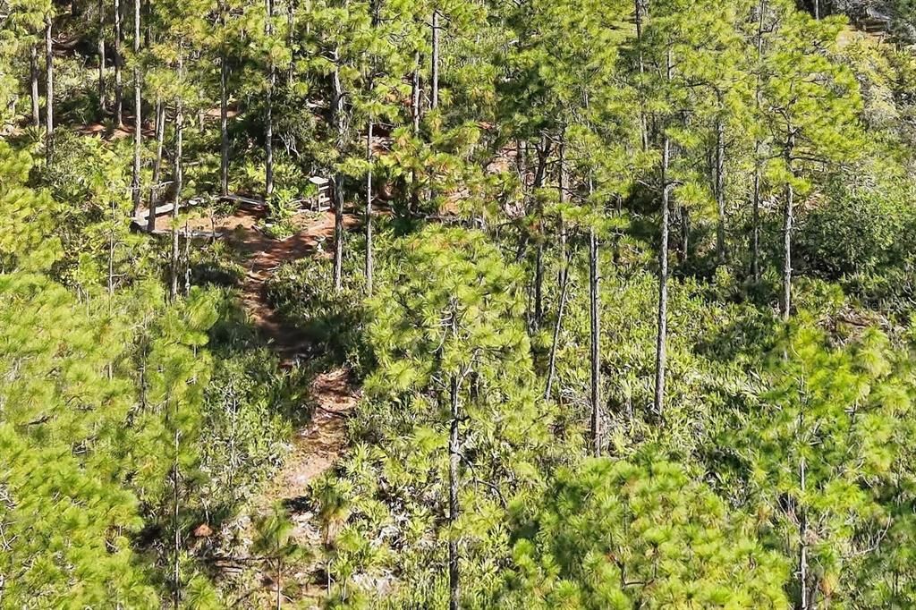 Под контрактом: $1,499,000 (9.42 acres)