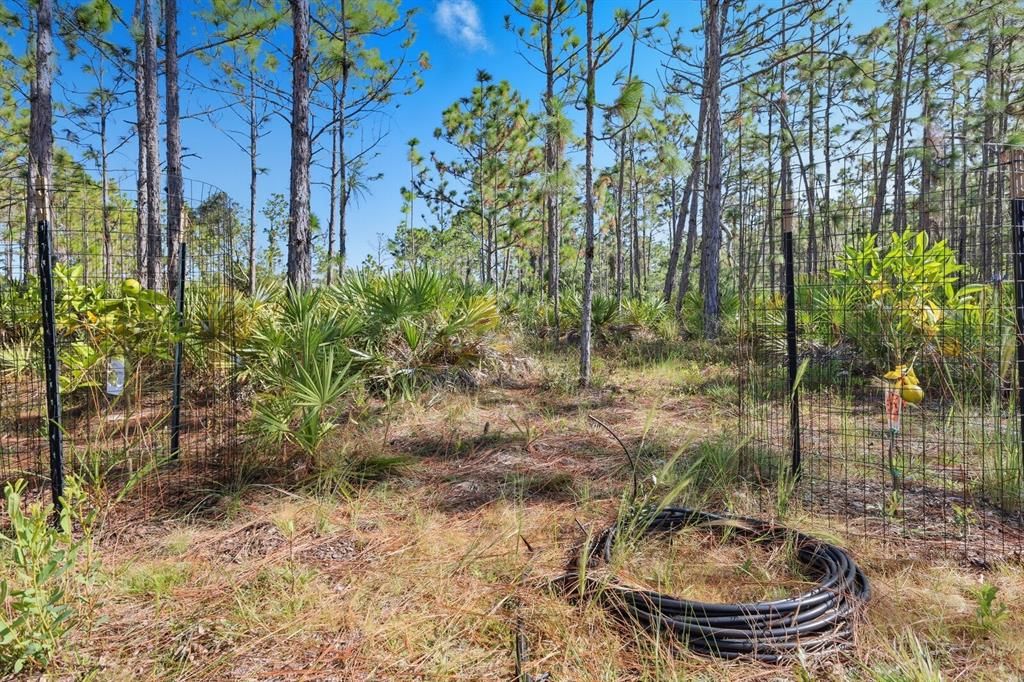 Под контрактом: $1,499,000 (9.42 acres)