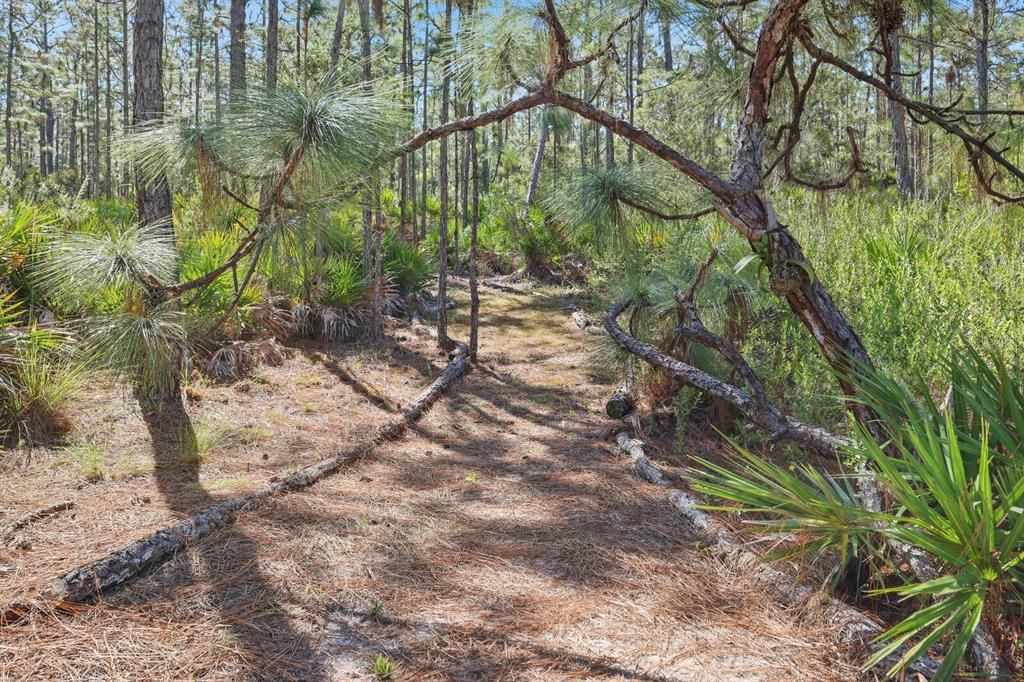 Под контрактом: $1,499,000 (9.42 acres)