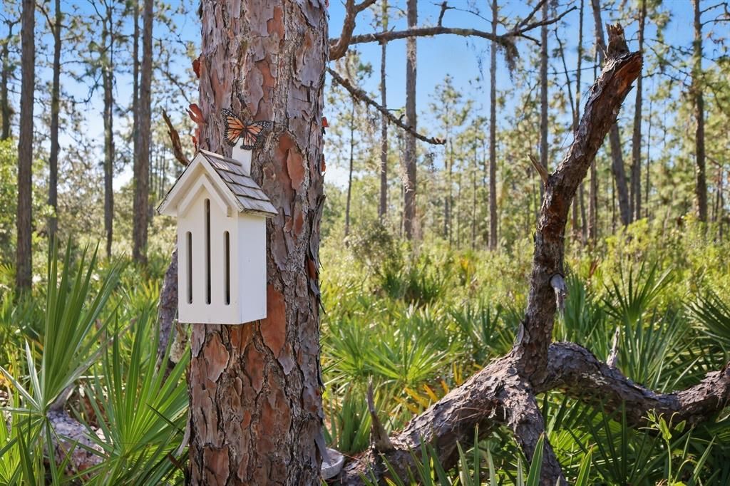 Под контрактом: $1,499,000 (9.42 acres)