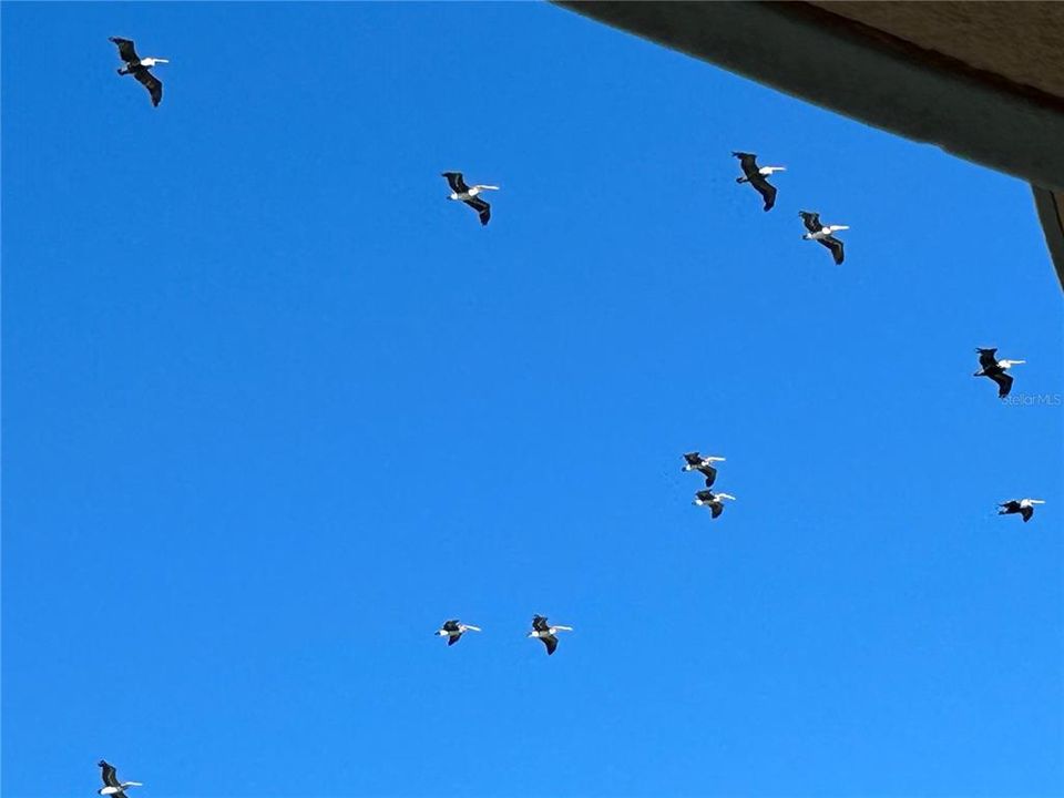 En Venta: $925,000 (2 camas, 2 baños, 2136 Pies cuadrados)