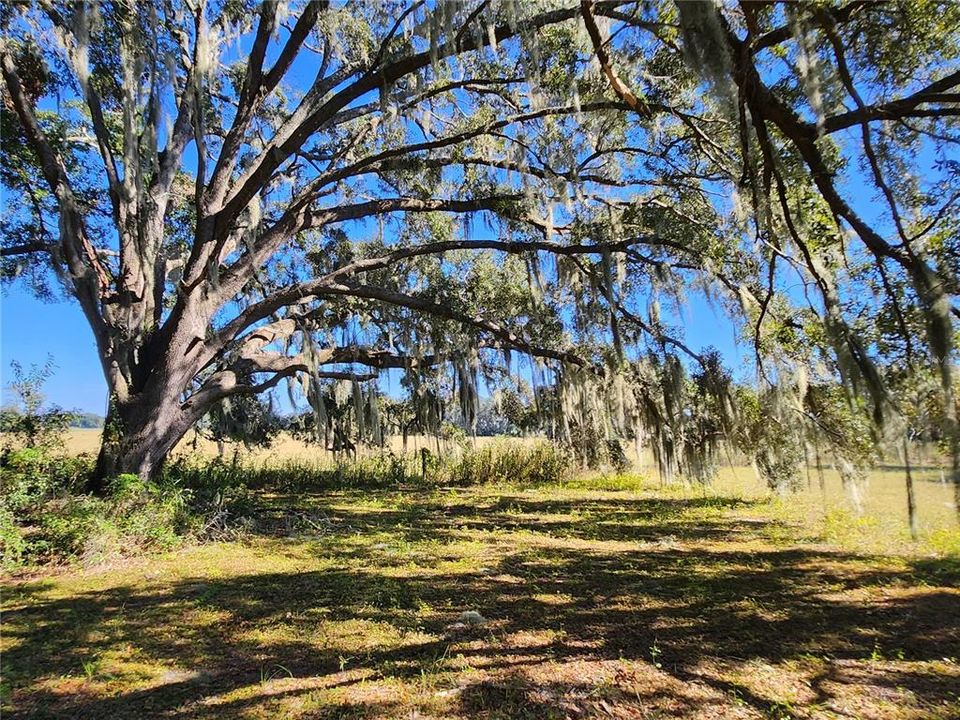 For Sale: $100,000 (1.00 acres)