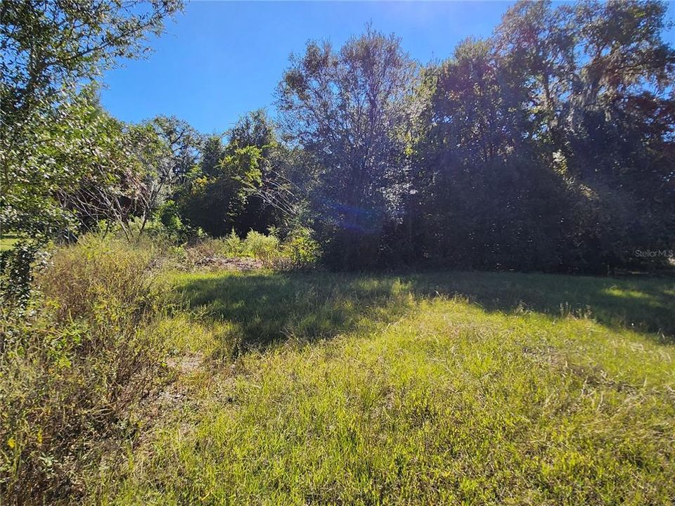 For Sale: $100,000 (1.00 acres)