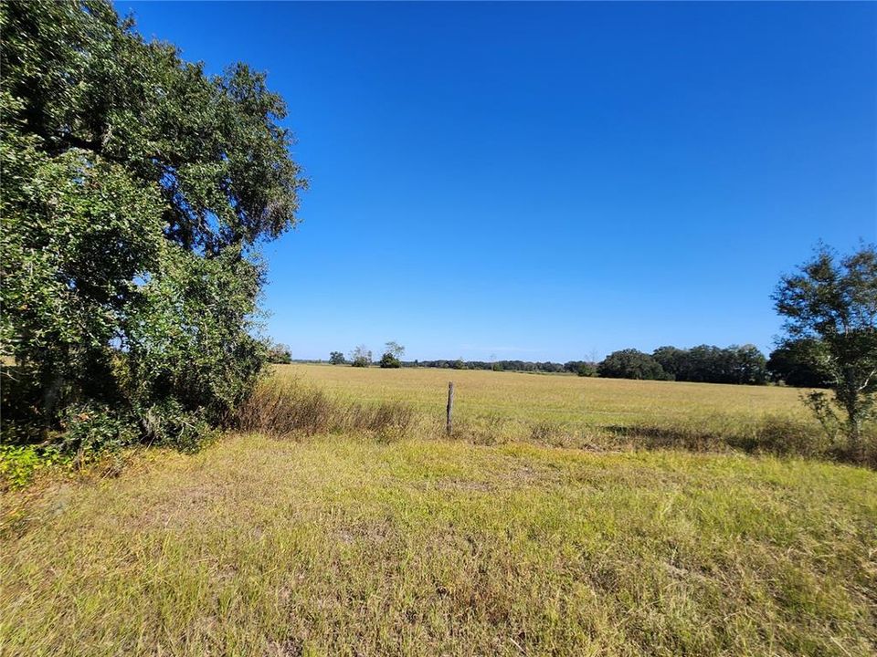For Sale: $100,000 (1.00 acres)