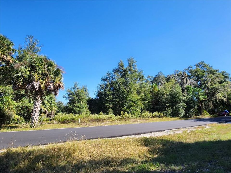 For Sale: $100,000 (1.00 acres)