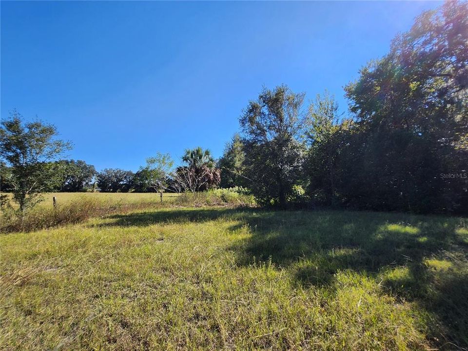 For Sale: $100,000 (1.00 acres)