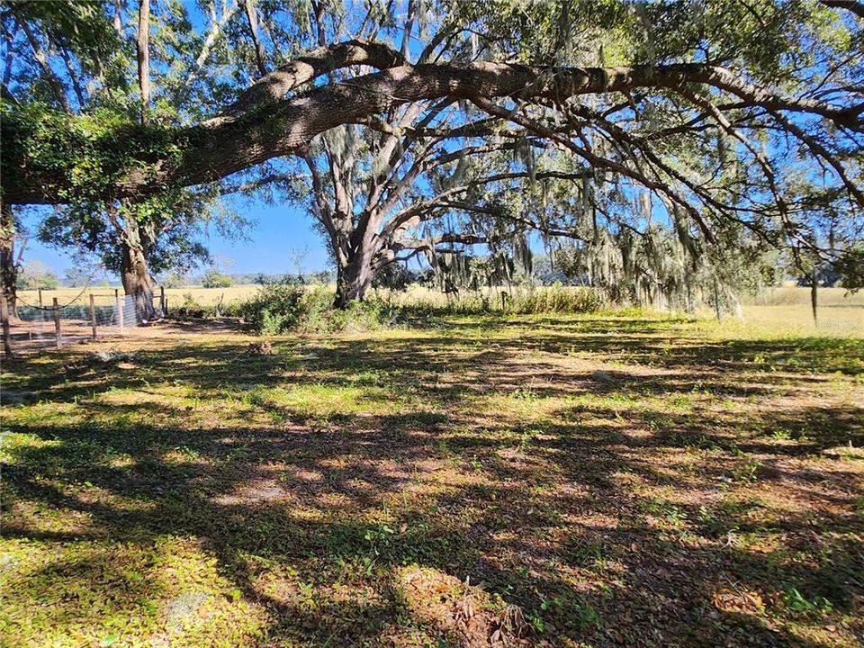 For Sale: $100,000 (1.00 acres)