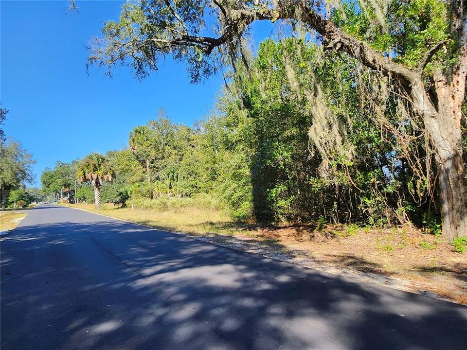 For Sale: $100,000 (1.00 acres)