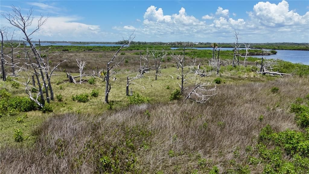 На продажу: $89,000 (19.22 acres)