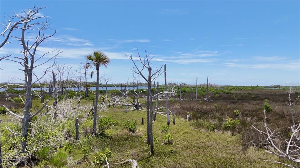 На продажу: $89,000 (19.22 acres)