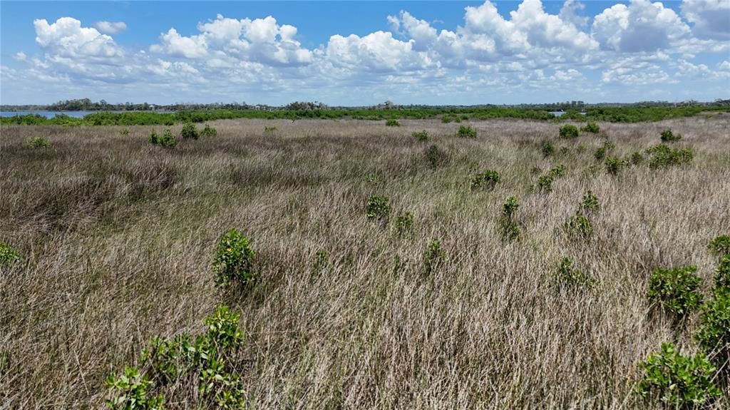 На продажу: $89,000 (19.22 acres)