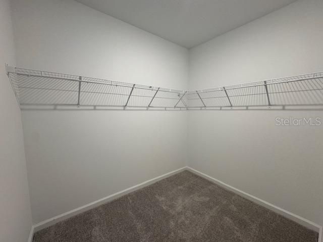 出租: $2,900 (5 贝兹, 2 浴室, 2326 平方英尺)