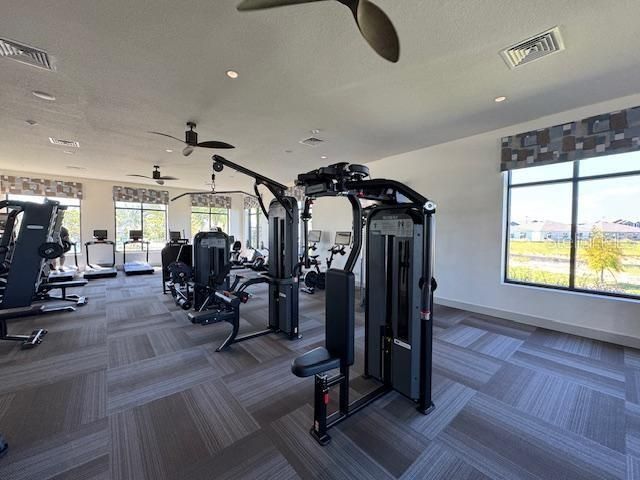 出租: $2,900 (5 贝兹, 2 浴室, 2326 平方英尺)