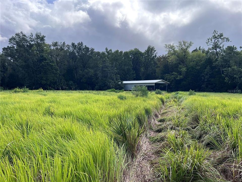 На продажу: $315,000 (14.25 acres)