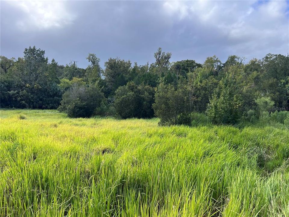 На продажу: $315,000 (14.25 acres)