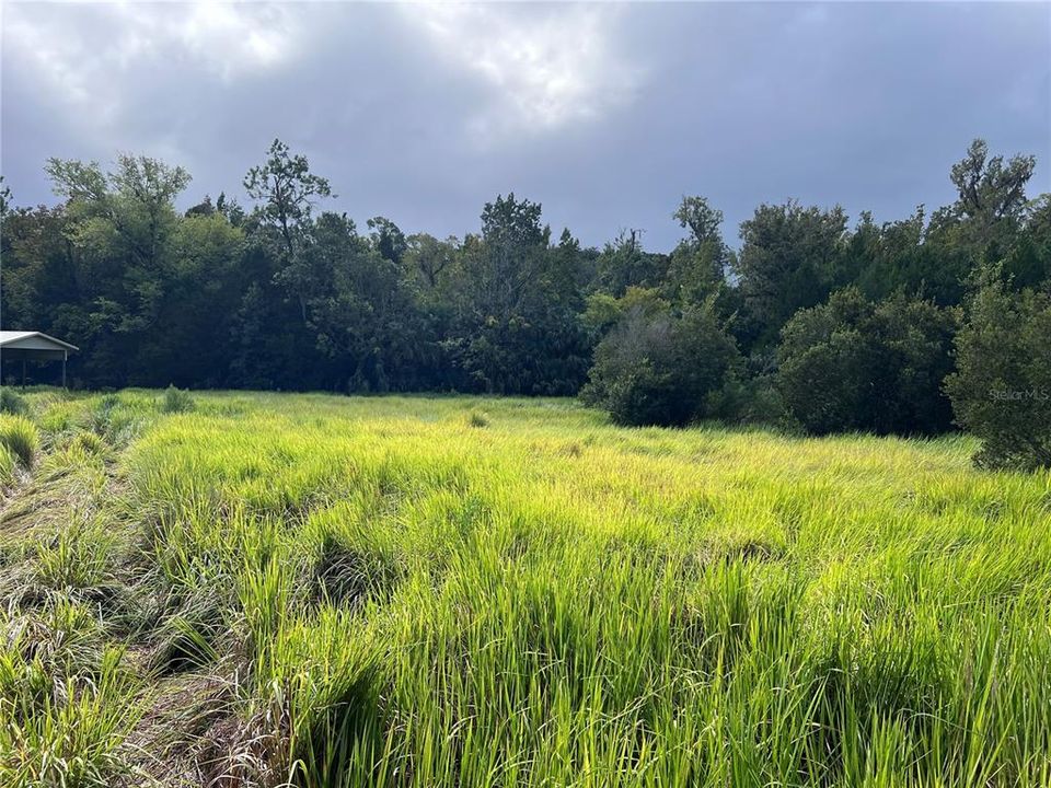 На продажу: $315,000 (14.25 acres)