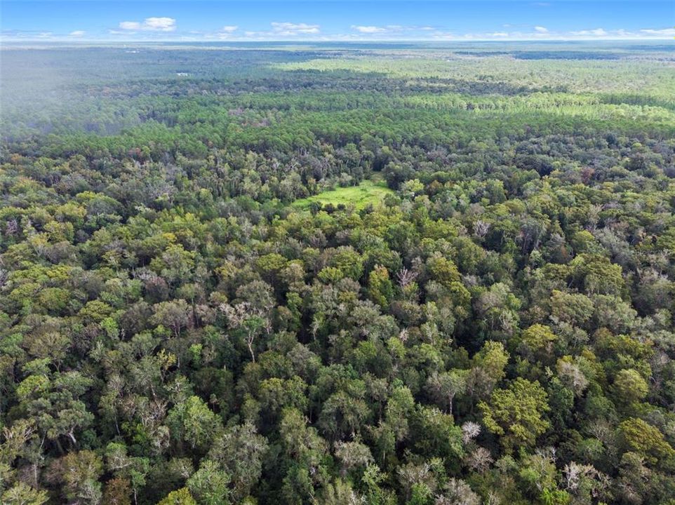 На продажу: $315,000 (14.25 acres)