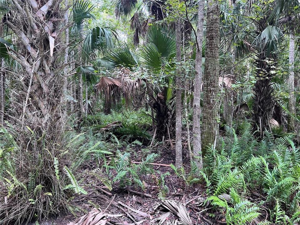 На продажу: $315,000 (14.25 acres)