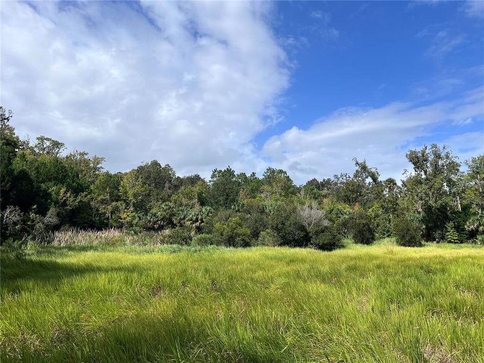 На продажу: $315,000 (14.25 acres)