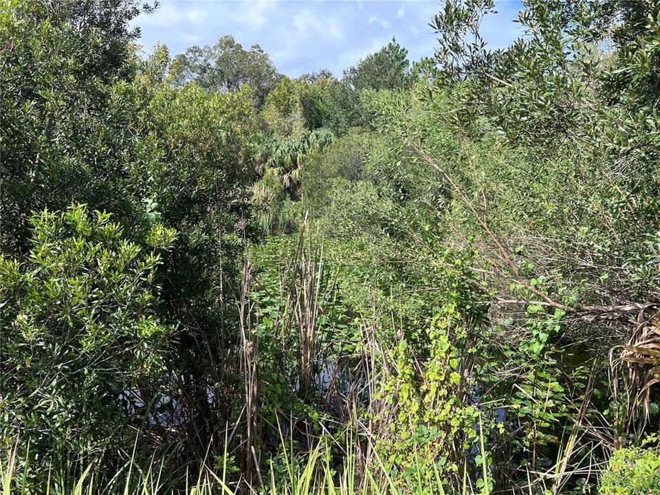 На продажу: $315,000 (14.25 acres)