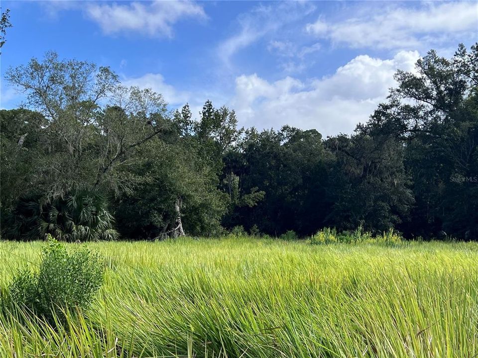 На продажу: $315,000 (14.25 acres)