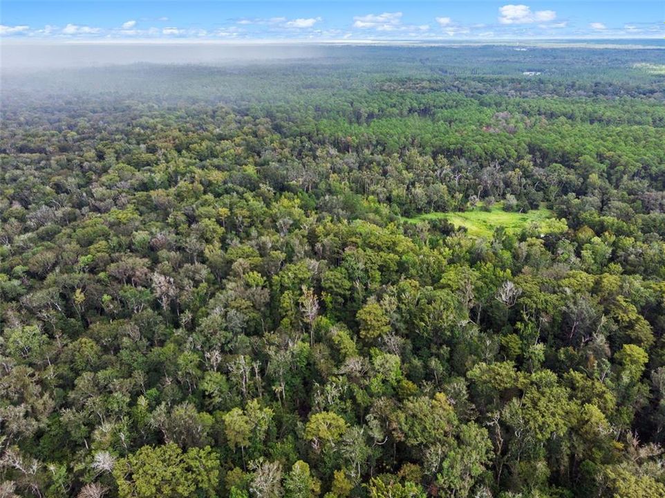 На продажу: $315,000 (14.25 acres)