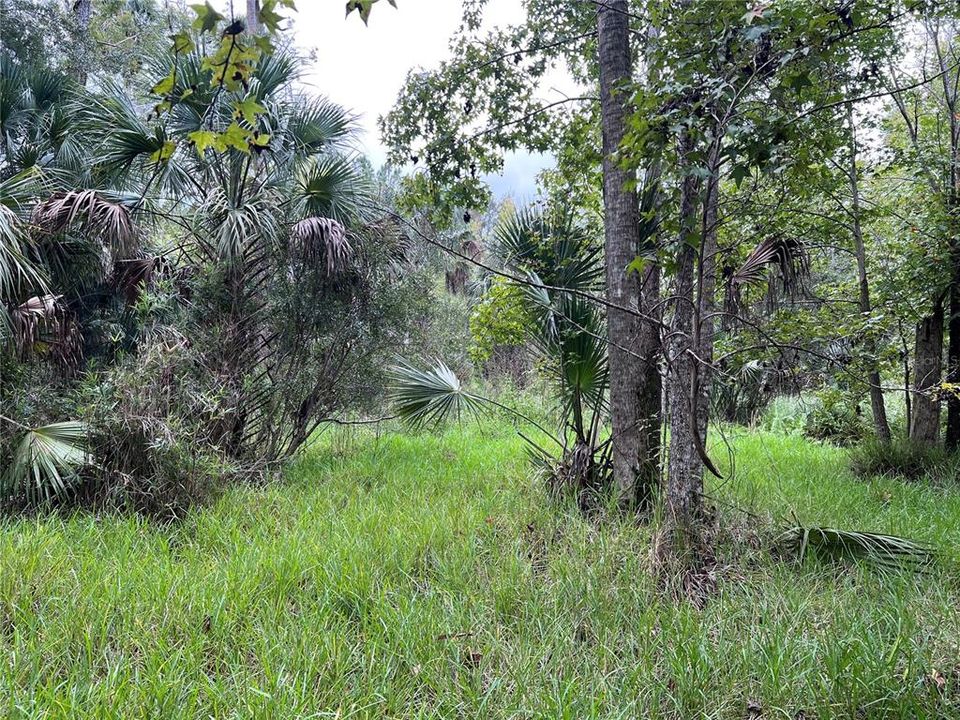 На продажу: $315,000 (14.25 acres)