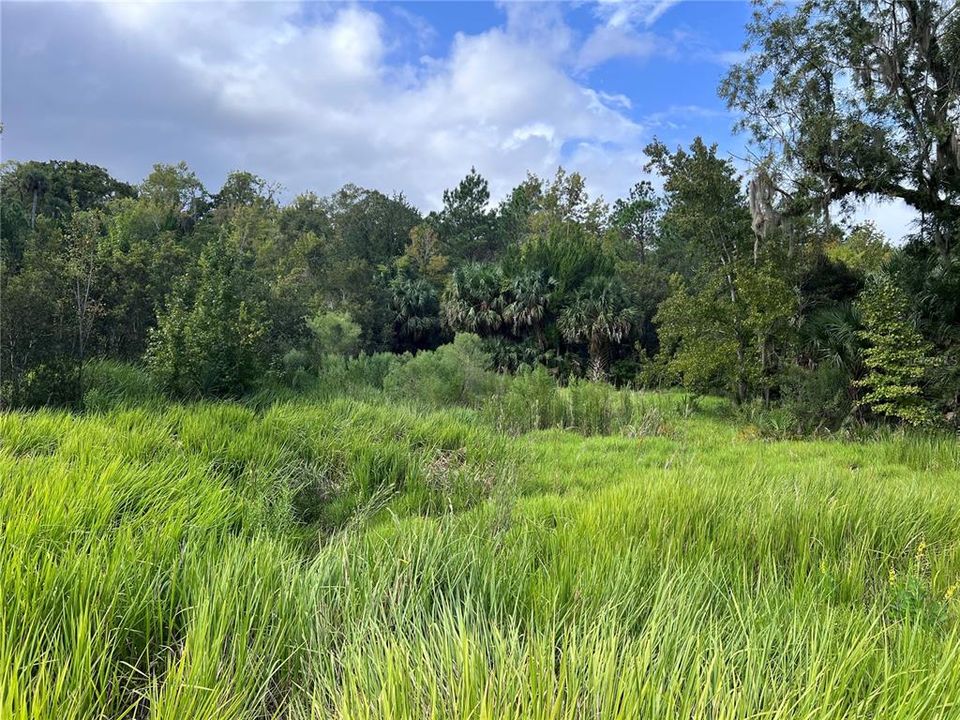 На продажу: $315,000 (14.25 acres)