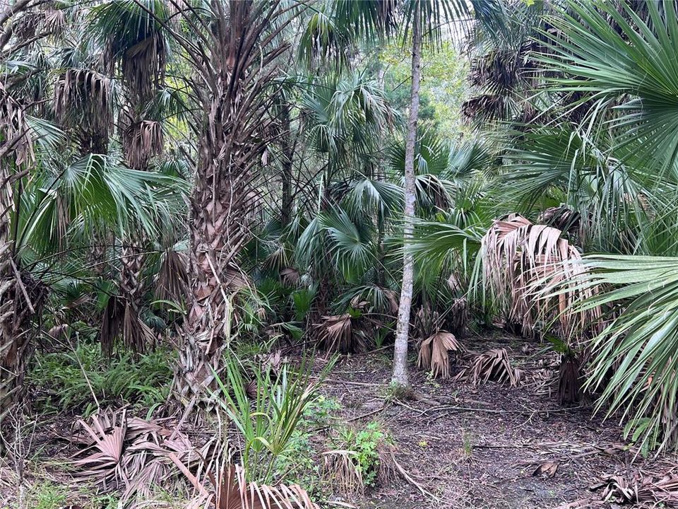 На продажу: $315,000 (14.25 acres)