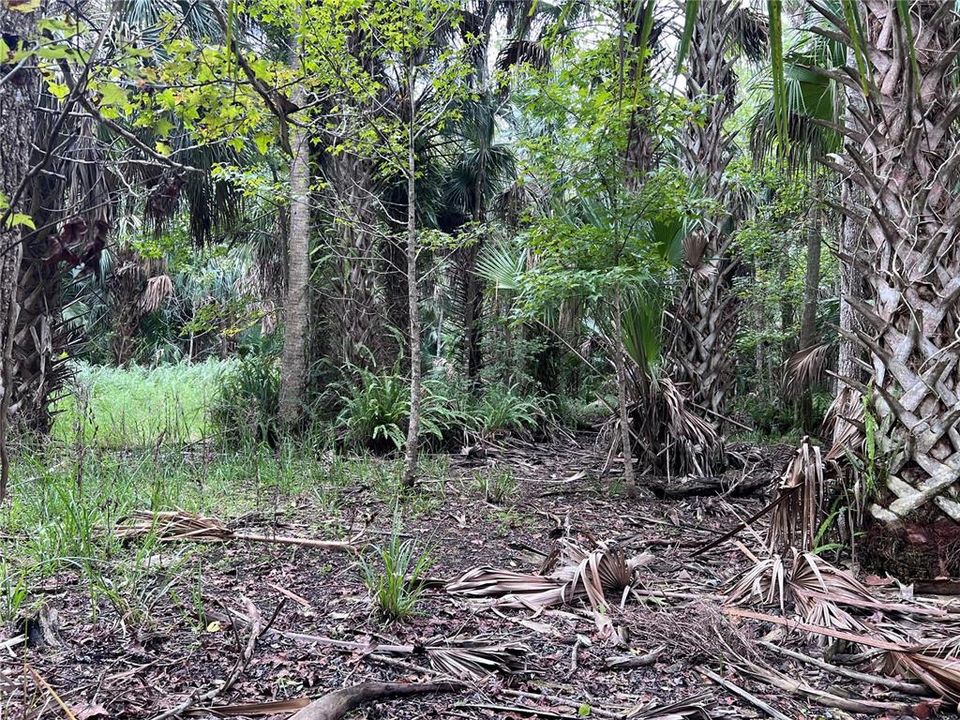 На продажу: $315,000 (14.25 acres)