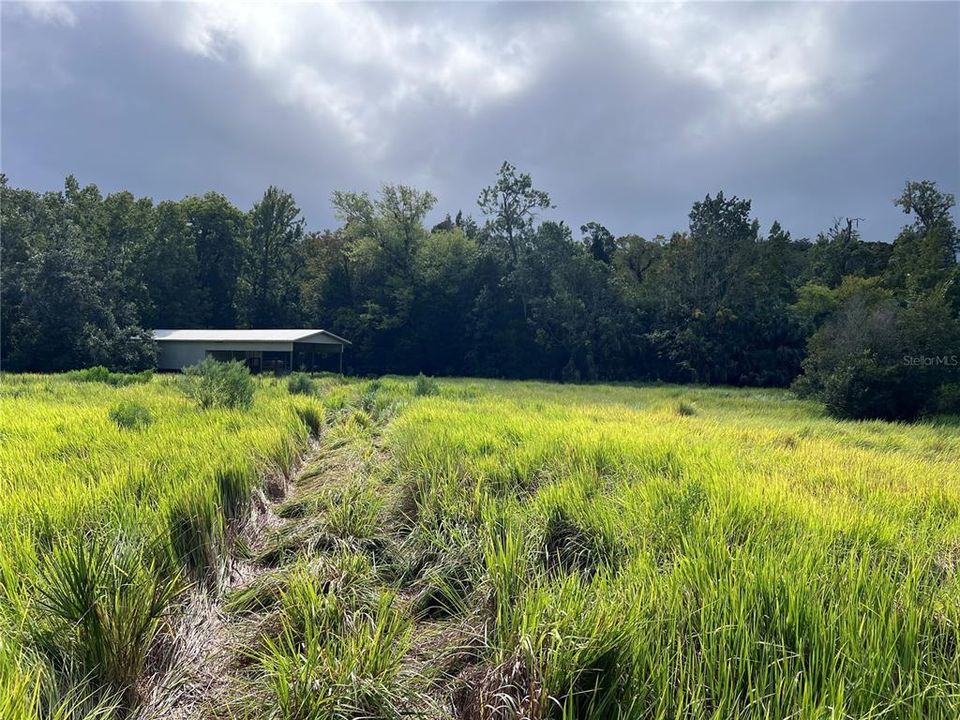 На продажу: $315,000 (14.25 acres)