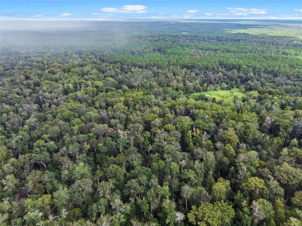 На продажу: $315,000 (14.25 acres)