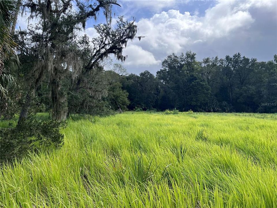 На продажу: $315,000 (14.25 acres)