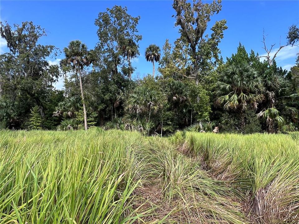 На продажу: $315,000 (14.25 acres)