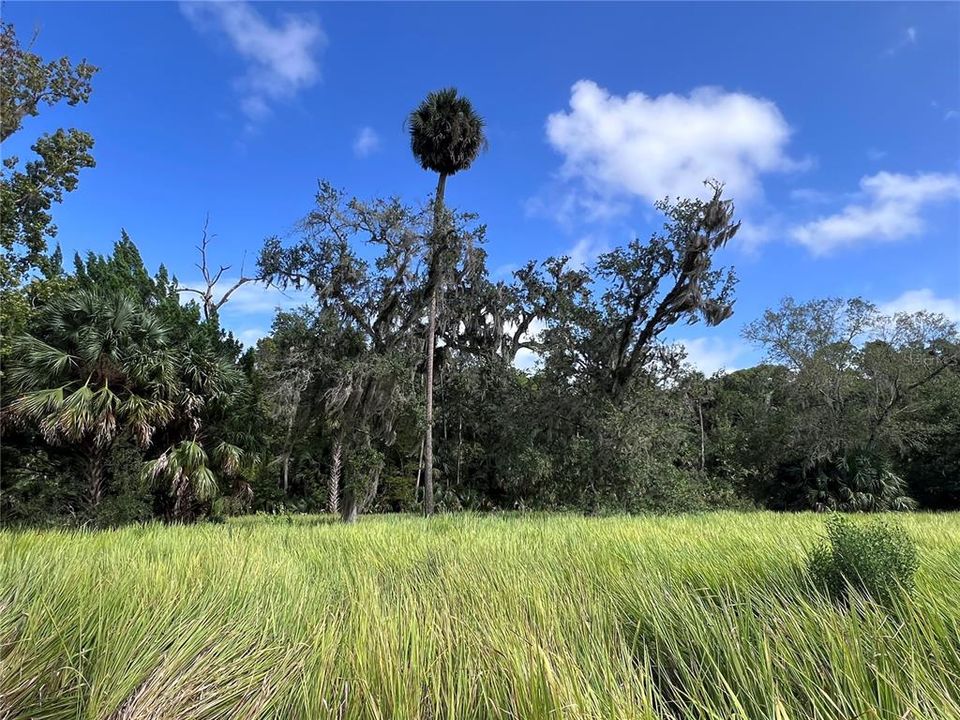 На продажу: $315,000 (14.25 acres)