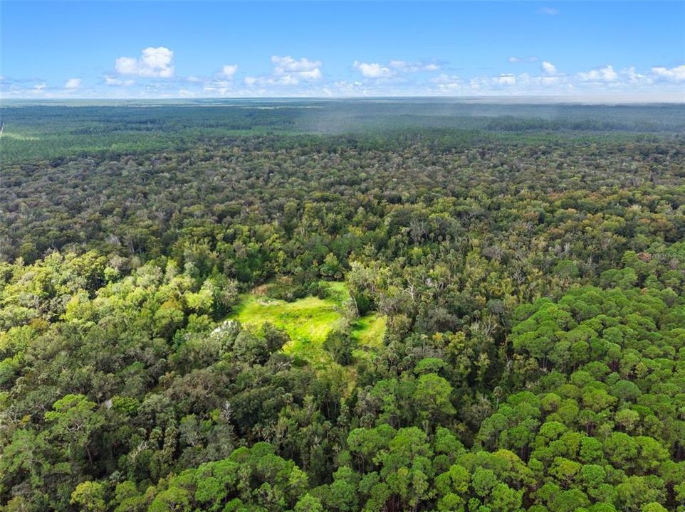 На продажу: $315,000 (14.25 acres)